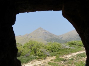 IMG_7452 (Medium)